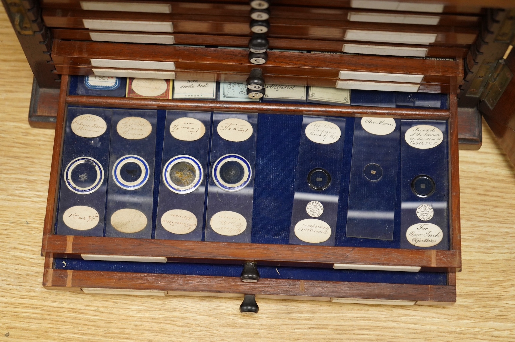 A 19th century mahogany cased slide box, fitted with 13 slide trays, housing approximately 290 slides of mineral, plant, animal and fossil specimens, 26cm wide, 19cm high, 29.5cm deep CITES Submission reference 514GC1XX